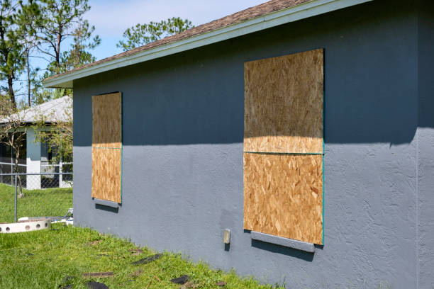 Best Siding Removal and Disposal  in Cobden, IL